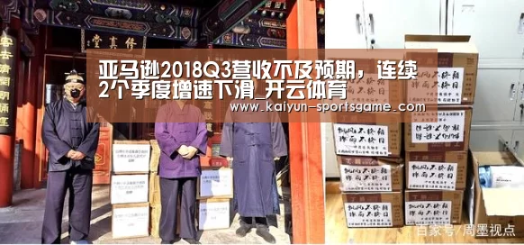 亚马逊2018Q3营收不及预期,连续2个季度增速下滑_开云体育(图3) 开云足球
