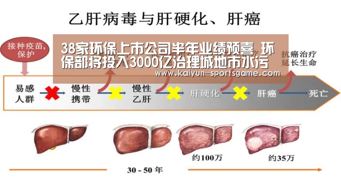 开云赛事