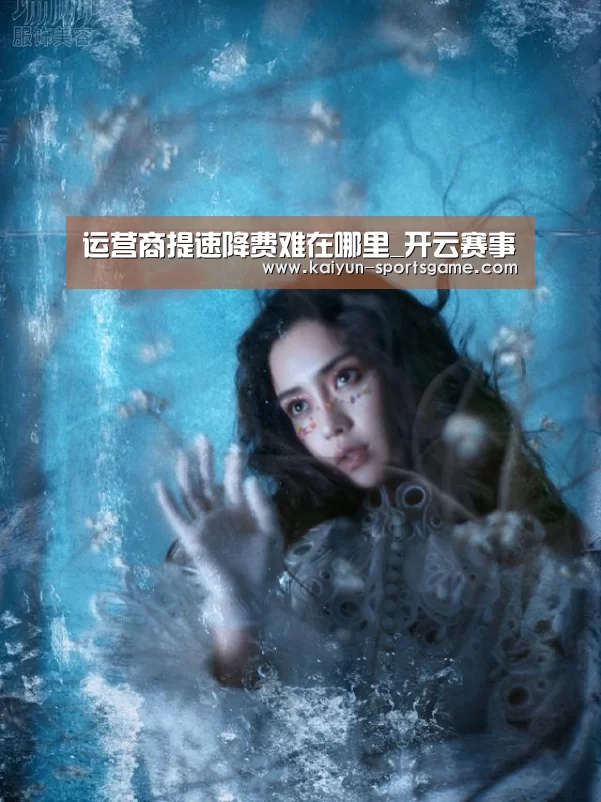 运营商提速降费难在哪里_开云赛事(图1) 开云赛事
